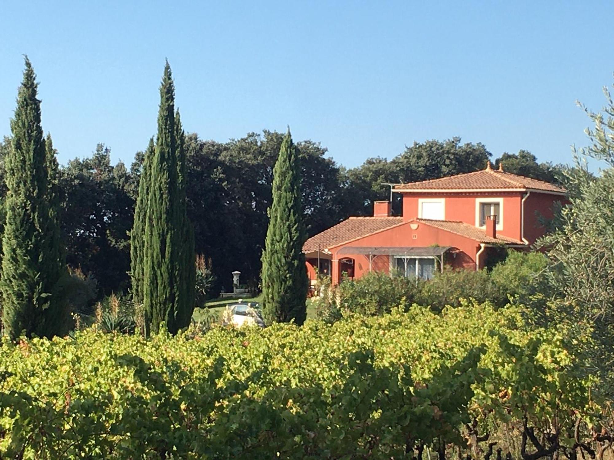 Domaine Des Lavarines 莫里埃莱阿维尼翁 外观 照片